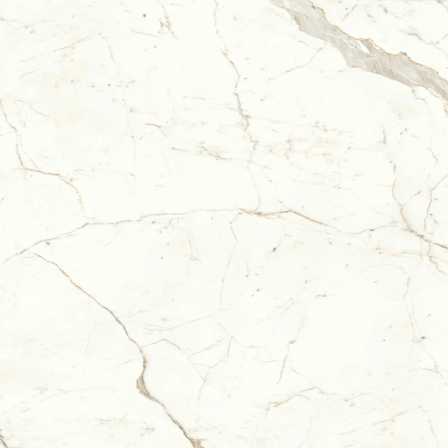 AtlasConcorde-MarvelShine-CalacattaPrestigio-160x160-Polished-A4RP-1